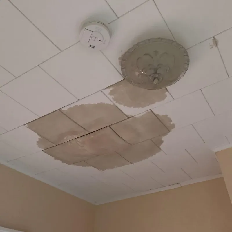 Ceiling Water Damage Repair in Socorro Mission Number 1 Colonia, TX